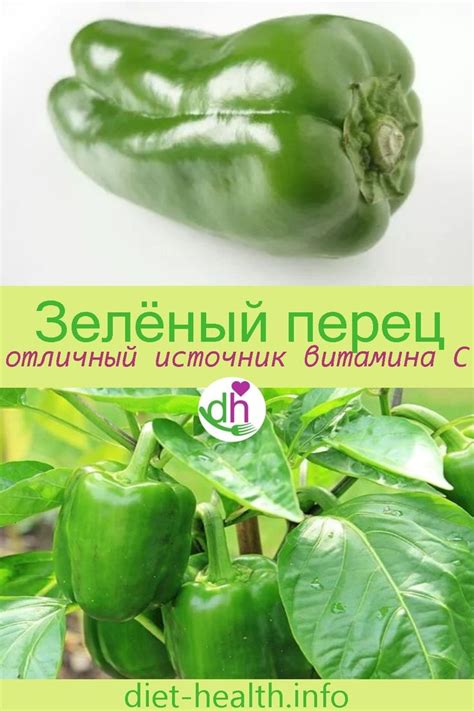 перец стручковый, зелёный, сырой | Перец, Полезные рецепты, Зеленый перец