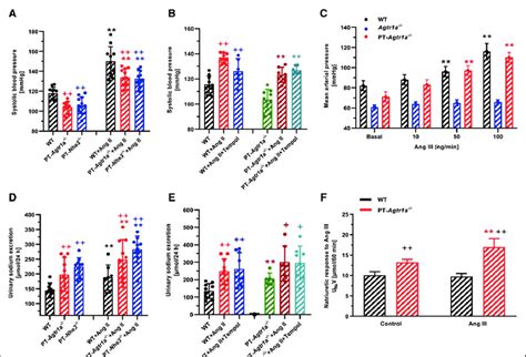 Roles Of The Nhe Na H Exchanger Superoxide And Ang Iii In