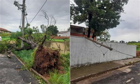 Ventania derruba árvore e poste em escola em Fernandópolis TVC Interior