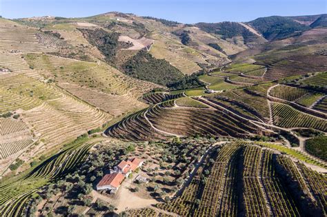 Profissionais Poças Produtor Independente de Vinhos DOC Douro e do