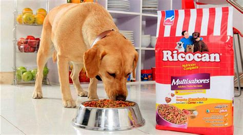 Las Marcas De Comida Para Perros Que Lideran El Mercado Local