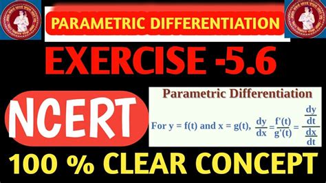 CLASS 12th PARAMETRIC DIFFERENTIATION EXERCISE 5 6 NCERT DVK