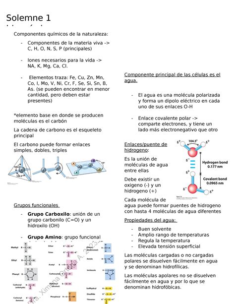 Solemne 1 bioquimica Componentes químicos de la naturaleza