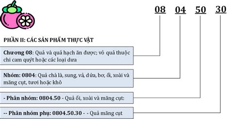 M Hs Code L G C C Ngu N Tra M Hs C Nh N Vi N S D Ng Trong Th C