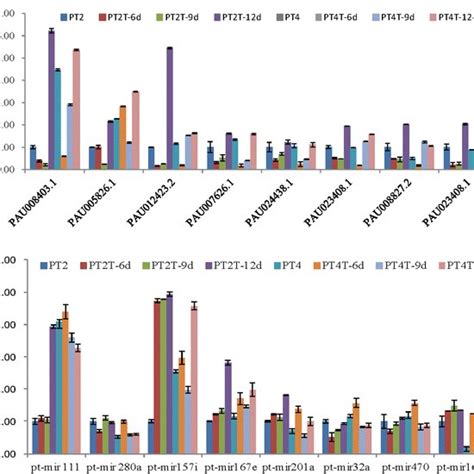 A Relative Expression Levels Of Candidate Drought Response Genes In Two Download Scientific