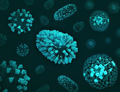 O Que É O Vírus Nipan - Vírus Nipah: informações atuais sobre o microrganismo letal – Clique ...