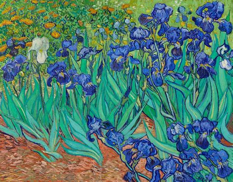 Vincent Van Gogh S Irises Free Photo Illustration Rawpixel