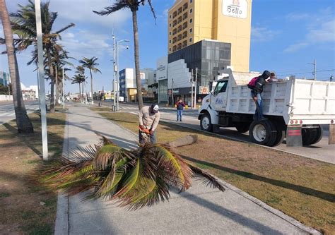 Alerta Gris En Veracruz Debido A Intenso Evento De Norte