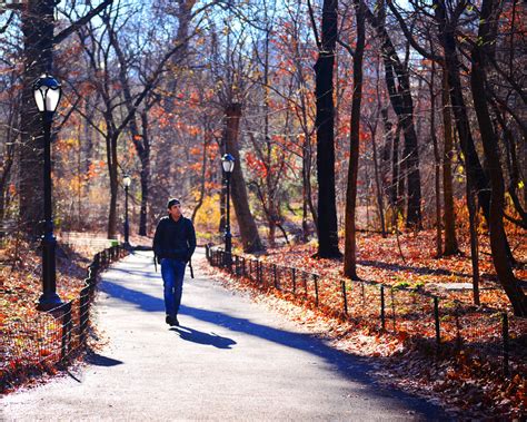 Itinerarios Y Rutas Por Nueva York Para Recorrerla De P A Pa