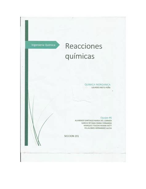 Pdf Actividad Reacciones Quimicas Dokumen Tips