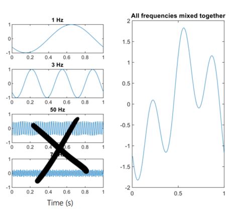 EEG Analyse Flashcards Quizlet