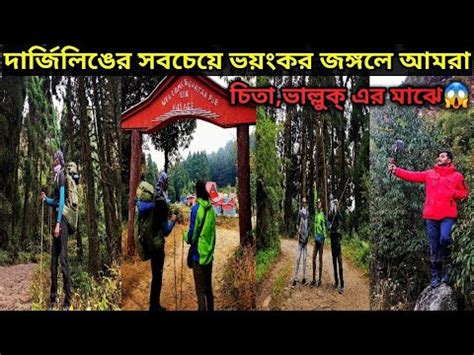 Forest Hiking In One Day Sonada To Chatakpur Trek West Bengal Most