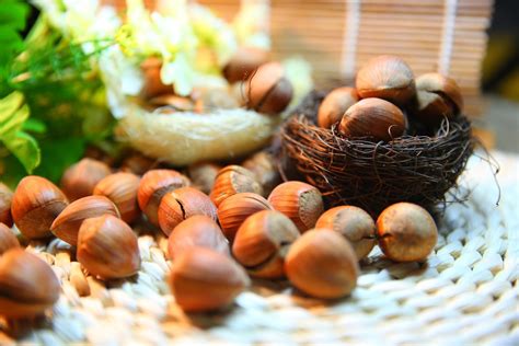 Exploring Hazelnuts History Nutella And 10 Recipes Delishably