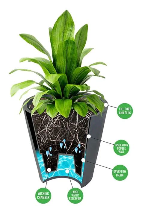 Self Watering Planters Diy Demo How They Work Tips For Off