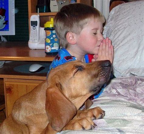 Jango the dog and Billy the cat praying - gorgeous! - Mary-Anne Crooks