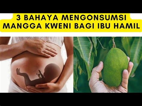 Temukan Manfaat Buah Kuini Untuk Ibu Hamil Yang Jarang Diketahui IABUKIT