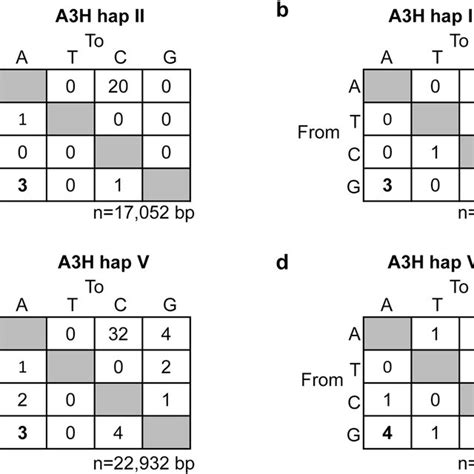 A3H hap II and hap V do not induce G→A mutations in the transposed neo... | Download Scientific ...