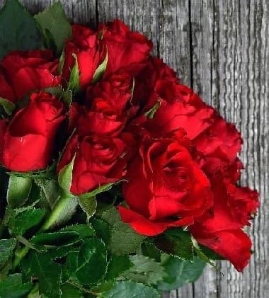 Red Rose Symbolic Meaning Mystical Love Flower