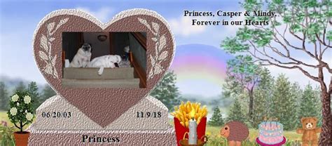 Princess S Rainbow Bridge Pet Loss Memorial