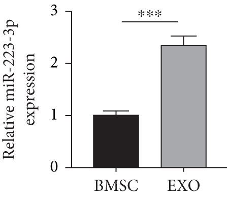 Isolation Of BMSCs And BMSC Derived EVs A The Morphology Of The