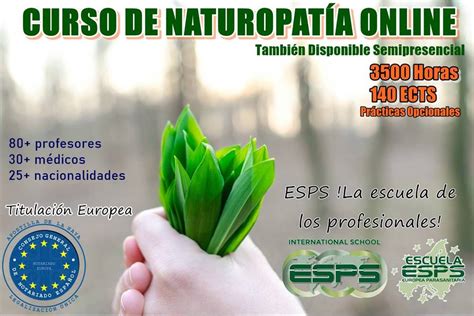 Curso De Acupuntura Online Y Presencial Cursos Mtc Esps