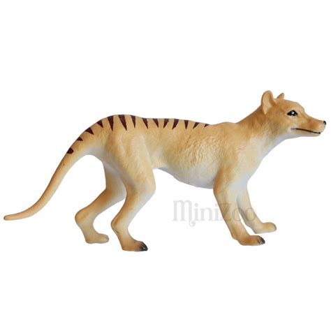 Thylacine Figurine | Science and Nature Toys