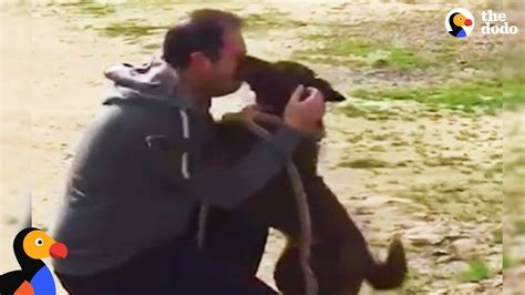 Dog Reunited With Owner Slowly Recognizes Dad After Years In Shelter