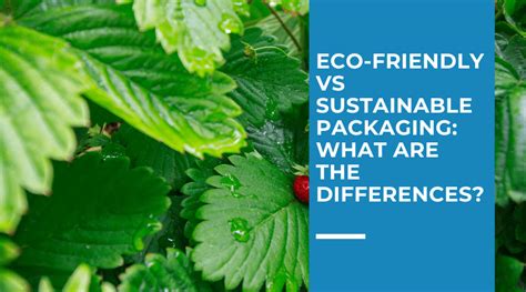 Eco Friendly Vs Sustainable Packaging What Are The Differences Epac Flexible Packaging