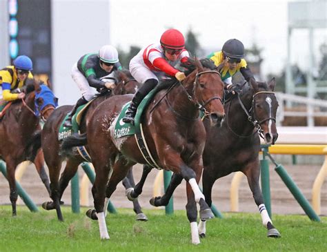 【東スポ杯2歳s】タイトルホルダー2着 惜しい0秒2差「いい能力を持っている」 スポニチ競馬web