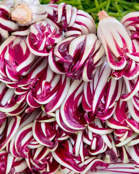 Radicchio Di Treviso Caratteristiche Benefici E Tipologie