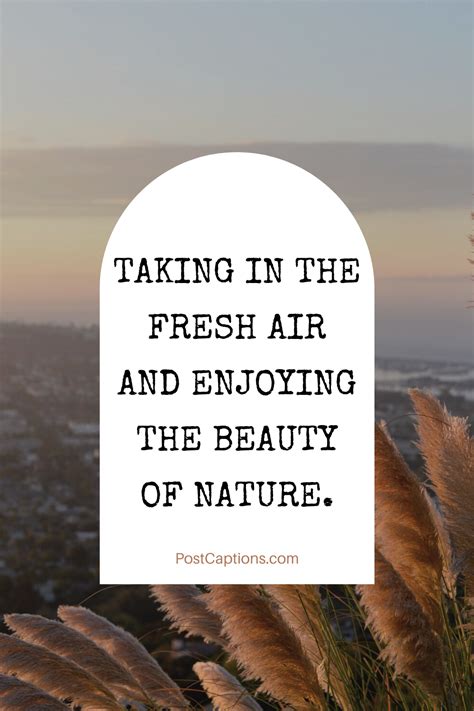 80 Best Nature Captions For Instagram