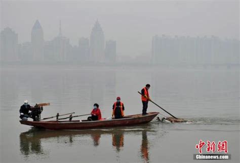 南昌赣江现上百头漂浮死猪 目前不影响饮用水 陕西频道 人民网