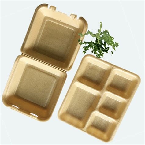 Pla Foaming Meat Packaging Tray Biodegradable Food Container China