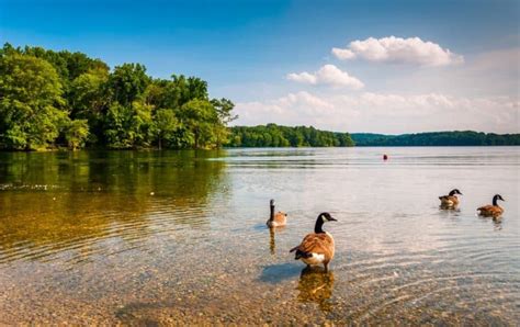 15 Best Lakes in Maryland - The Crazy Tourist