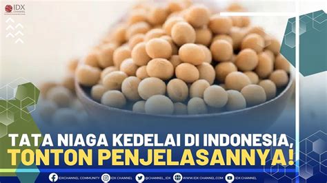 Tata Niaga Kedelai Di Indonesia Tonton Penjelasannya Youtube