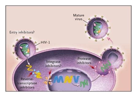 Novel Therapies Based On Mechanisms Of HIV 1 Cell Entry NEJM