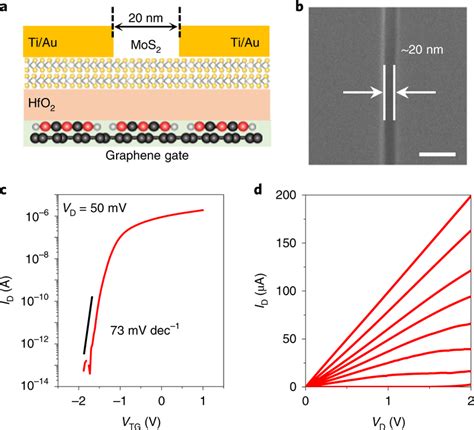 Short Channel MoS2 FETs A Schematic Of The Device Structure B SEM