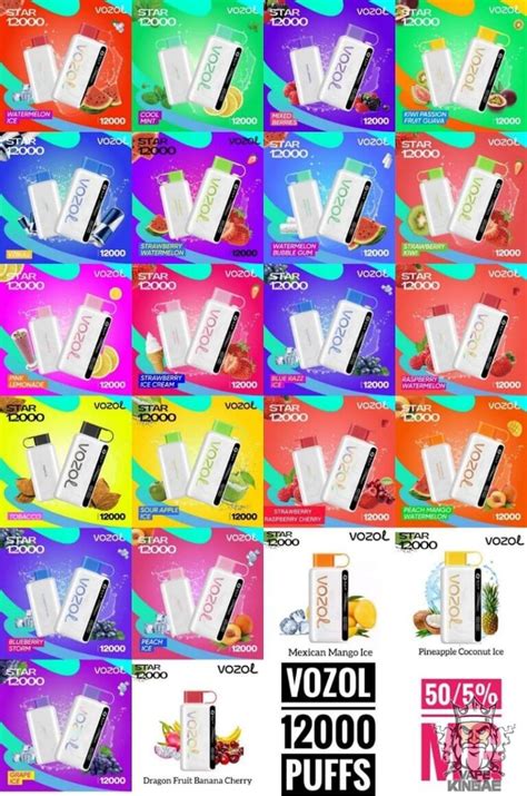 VOZOL STAR 12000 PUFFS BEST DISPOSABLE VAPE VAPEKING AE