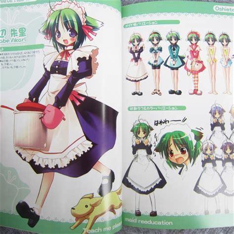 OSHIETE RE MAID Tashinami Book Art Illustration Booklet Ltd