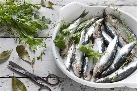 7 Surprising Health Benefits Of Eating Sardines