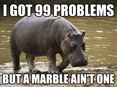 Hungry Hippo Memes Quickmeme