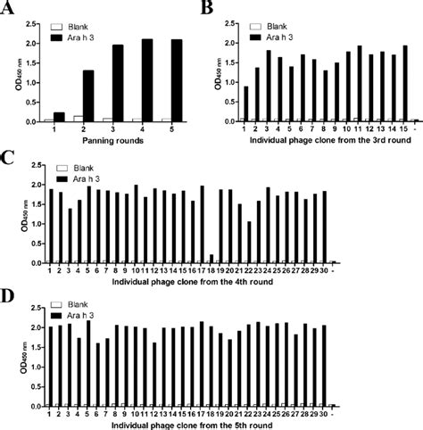 Results of phage ELISA. (A) Results of polyclonal-phage ELISA. The ...