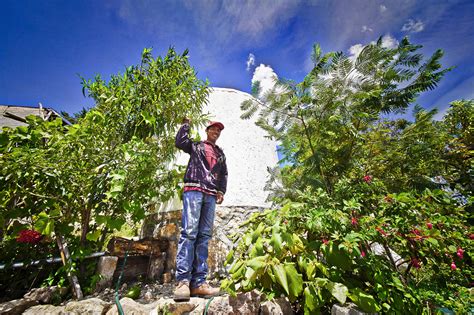 Experiencias Y Proyectos En Oaxaca Secretar A De Medio Ambiente Y