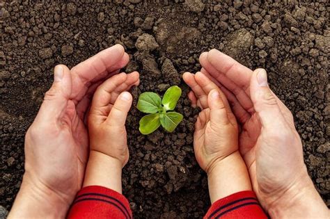 O Que Fazer Para Preservar O Meio Ambiente Aprenda