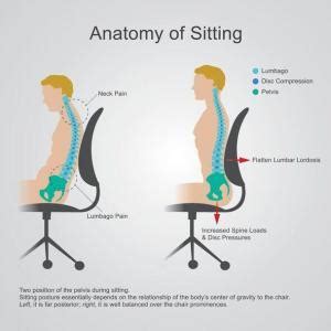 Proper Sitting Posture - JOI Jacksonville Orthopaedic Institute