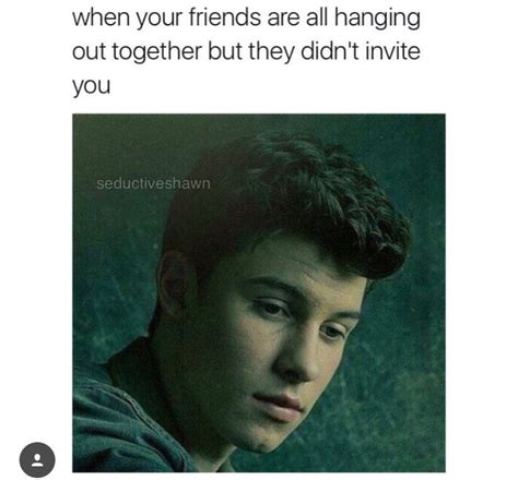 Pin By Brittin On SHAWN Shawn Mendes Memes Shawn Mendes Funny