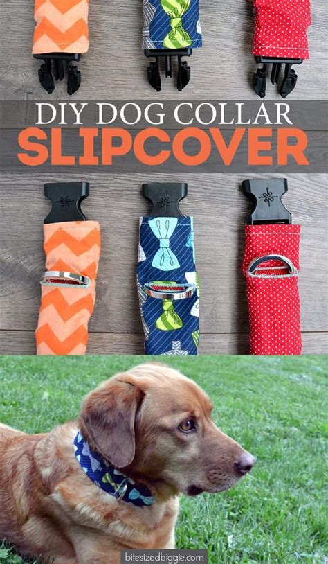 Adorable Diy Dog Collars To Make Walk Time Extra Stylish