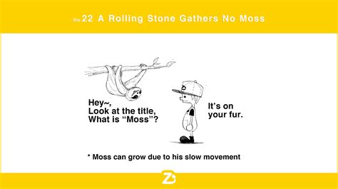 No 22 A Rolling Stone Gathers No Moss Zooと英語