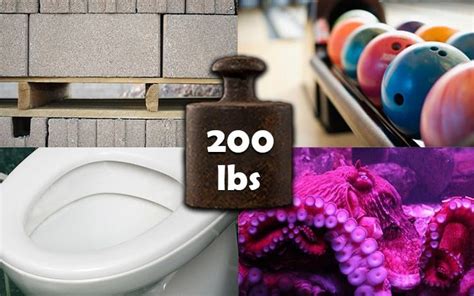 11 Things That Weigh Around 200 Pounds (lbs) – Weight of Stuff