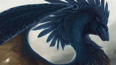 🔥 [40+] Feather Dragon Wallpapers | WallpaperSafari